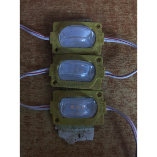 Marker Lights Frog